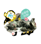 Mum Mum Boy2（個別スタンプ：22）
