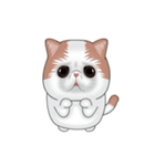 MEOW MEOW little cat（個別スタンプ：1）