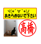 はんこだポン高橋様用、顔文字と猫写真付（個別スタンプ：20）