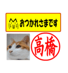 はんこだポン高橋様用、顔文字と猫写真付（個別スタンプ：30）