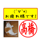 はんこだポン高橋様用、顔文字と猫写真付（個別スタンプ：34）