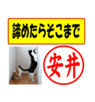 安井様用はんこだポン、顔文字と猫写真付（個別スタンプ：19）