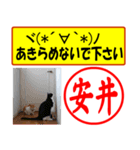 安井様用はんこだポン、顔文字と猫写真付（個別スタンプ：20）