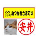 安井様用はんこだポン、顔文字と猫写真付（個別スタンプ：30）