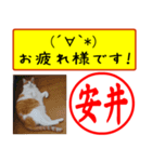 安井様用はんこだポン、顔文字と猫写真付（個別スタンプ：34）