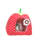 ポロのきもち。（個別スタンプ：8）
