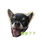 クッキーオレオ（個別スタンプ：4）