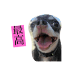 クッキーオレオ（個別スタンプ：11）