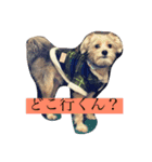 クッキーオレオ（個別スタンプ：14）