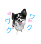 パトラ＆レオン  3（個別スタンプ：1）