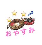 パトラ＆レオン  3（個別スタンプ：7）