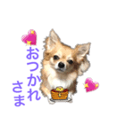 パトラ＆レオン  3（個別スタンプ：8）