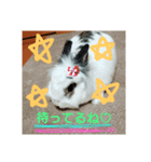 りおんぽんさんま（個別スタンプ：1）