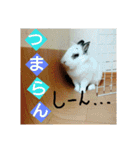 りおんぽんさんま（個別スタンプ：2）