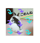 りおんぽんさんま（個別スタンプ：3）