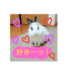 りおんぽんさんま（個別スタンプ：6）