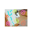 りおんぽんさんま（個別スタンプ：7）