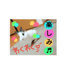 りおんぽんさんま（個別スタンプ：8）