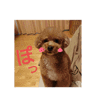 りおんぽんさんま（個別スタンプ：9）
