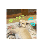 りおんぽんさんま（個別スタンプ：18）