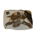 ...Life（個別スタンプ：1）