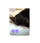...Life（個別スタンプ：2）
