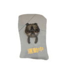...Life（個別スタンプ：3）
