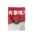 ...Life（個別スタンプ：4）
