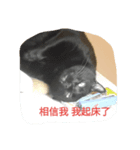 ...Life（個別スタンプ：5）