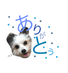 RIN stamp...（個別スタンプ：1）