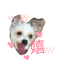RIN stamp...（個別スタンプ：2）