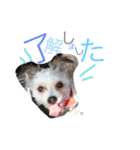 RIN stamp...（個別スタンプ：8）