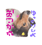 kinakon cute（個別スタンプ：4）