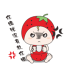 Small strawberries and small watermelons（個別スタンプ：22）