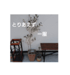 free custom stanp（個別スタンプ：6）