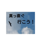 free custom stanp（個別スタンプ：12）