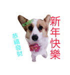 Sweet Mika（個別スタンプ：6）