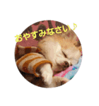 MK-brothers 2（個別スタンプ：6）
