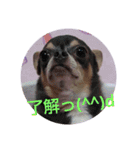 MK-brothers 2（個別スタンプ：10）