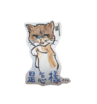 どどねこ日常（個別スタンプ：1）