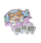 どどねこ日常（個別スタンプ：3）