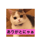 さらちゃんのスタンプです。（個別スタンプ：2）