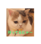 さらちゃんのスタンプです。（個別スタンプ：3）