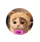 さらちゃんのスタンプです。（個別スタンプ：5）
