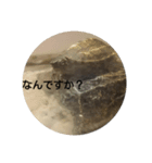 そう、かめだもの。（個別スタンプ：2）