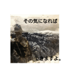 そう、かめだもの。（個別スタンプ：4）