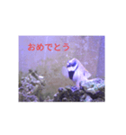 へばりつきスタンプ（個別スタンプ：2）