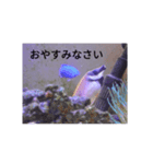 へばりつきスタンプ（個別スタンプ：7）