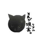 黒猫 ゴマシヲ 第3弾（個別スタンプ：37）
