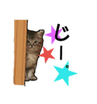 LOVEwannyanz（個別スタンプ：6）